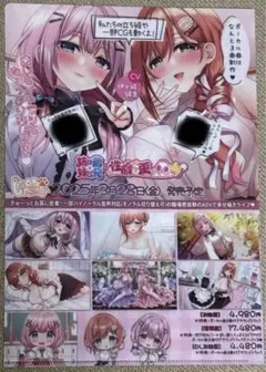 妹(姉)は兄(弟)の性癖を歪ませたい！ クリアファイル