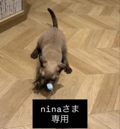 【ninaさま専用】
