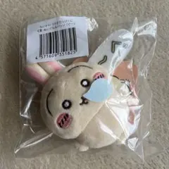 ちいかわ うさぎだらけくじ E賞 ぬいぐるみバッジ ぐ〜
