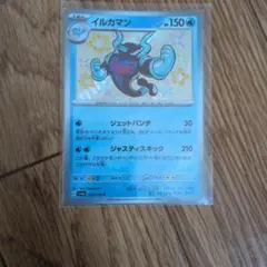 イルカマン　色違い