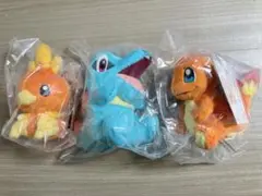 ポケモン 一番くじ 30周年 ヒトカゲ アチャモ ワニノコ 3体セットのサムネイル