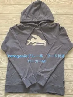 Patagoniaブルー 系　フード付き パーカーM