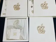 【010】Apple銀座店限定【新品未開封品3個！！】