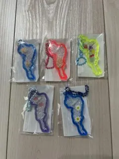 琵琶湖キーホルダー5個セット