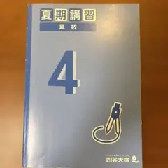 2026年最新】四谷大塚 夏期講習 4年の人気アイテム - メルカリ