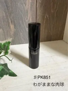 Visée ヴィセ ネンマクフェイル ルージュ PK851 わがままな肉球のサムネイル