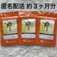 ＊匿名配送＊オーガランド　酪酸菌　乳酸菌　ビフィズス菌　ダイエット　サプリメントのサムネイル