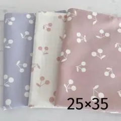 ハンドメイド　25×35 ランチョンマット　女の子　小さめ　さくらんぼ