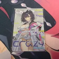 【送料無料】チュウニズム Aimeカード