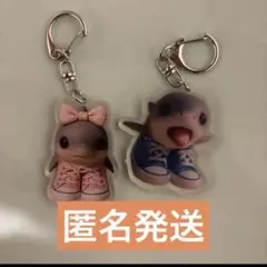 即発送 サメペア トララレロトラララ 赤ちゃん ロストララレリートス ペア