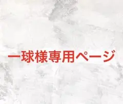 一球様専用ページ