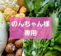 のんちゃん様専用