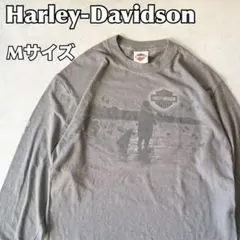 Harley-Davidson ハーレーダビットソン ロンT Mサイズ 古着