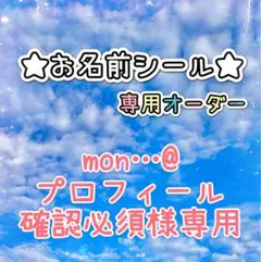 ＊＊＊ mon…@プロフィール確認必須様専用＊＊＊