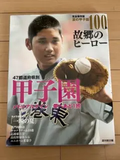 夏の甲子園100回故郷のヒーロー : 完全保存版 - メルカリ