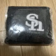 Item thumbnail for item 675608f6-e154-4f43-a6d6-33169dfdb142