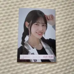 櫻坂46 生写真 2024年 夏フェス衣装 向井純葉