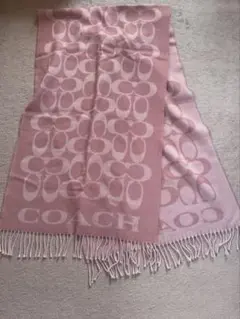 Item thumbnail for item 18a36ff7-067a-4bc5-b24d-166d879ae8d4