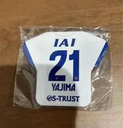 Item thumbnail for item 612584f0-6b00-438a-9847-c30e27919810