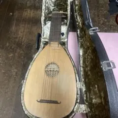 Prestri マンドリン ケース・クリップチューナー・全替弦➕もう一本E線