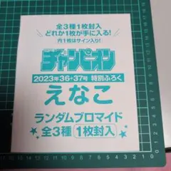 えなこ クリアファイル セット
