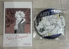 FAIRYTAIL フェアリーテイル グレイ メディコス 缶バッジ 特典 - メルカリ