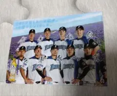 北海道日本ハムファイターズ　クリアファイル　中島卓也