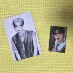 Ald1 Euphoria サンリオ