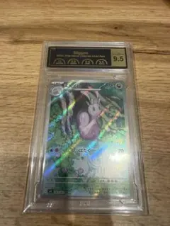 PCG 9.5 ヌメイル