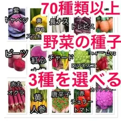 かん様 リクエスト 2点 まとめ商品