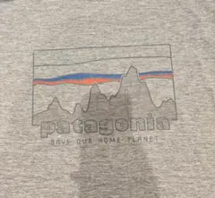 パタゴニア　キャプリーンクールデイリー Tシャツ　Lサイズ