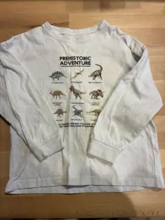 グローバルワーク　恐竜　ロンT 120 キッズ