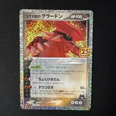 マグマ団のグラードン プロモカードパック 25th ANNIVERSARY e…