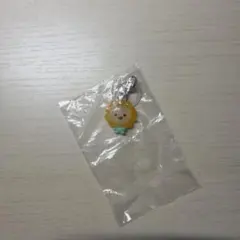 JOCHUM めじるしアクセサリー1