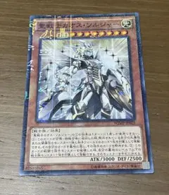 混沌の戦士カオスソルジャー