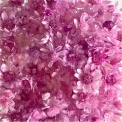 tama様 リクエスト 4点 まとめ商品