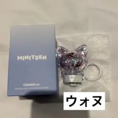 ポッドンイ ウォヌ セブチ miniteen パーツキーリング