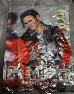THE RAMPAGE 龍 クッション