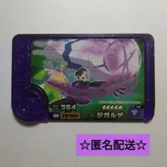 ポケモンフレンダスーパートレジャージガルデ