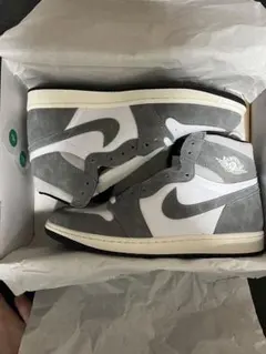 Air Jordan 1 Retro High OG サイズ11