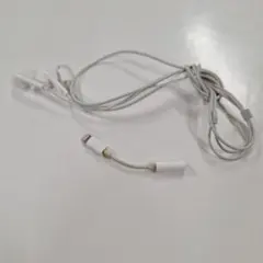 有線イヤホンタイプA