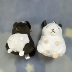 Item thumbnail for item 8e1740cf-0d41-4d72-86e7-8e3b7c4cafe0