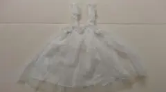 Item thumbnail for item 94a584fb-6c7e-42e9-bb0d-6bff2b244ed1