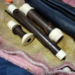 Item thumbnail for item 977dff9e-f96a-4c17-8d4d-89970f0c6a90