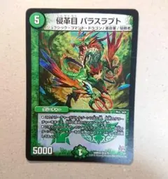 侵革目 パラスラプト　1枚