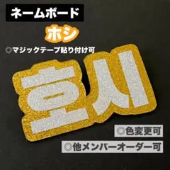 SEVENTEEN ホシ ネームボード ペンライト Carat棒 (ハートなし)