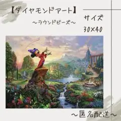 【ダイヤモンドアート】　ビーズアート　ラウンドビーズ　40×30