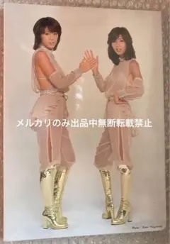 2026年最新】ピンクレディー パネルの人気アイテム - メルカリ