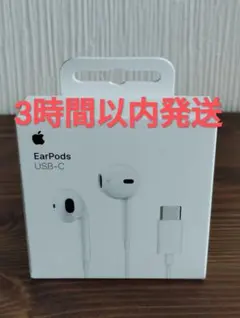 Apple EarPods (USB-C)アップル純正品必ず緩衝材を利用