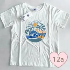 Item thumbnail for item e533280b-8459-4344-8488-de03c7fd3c61